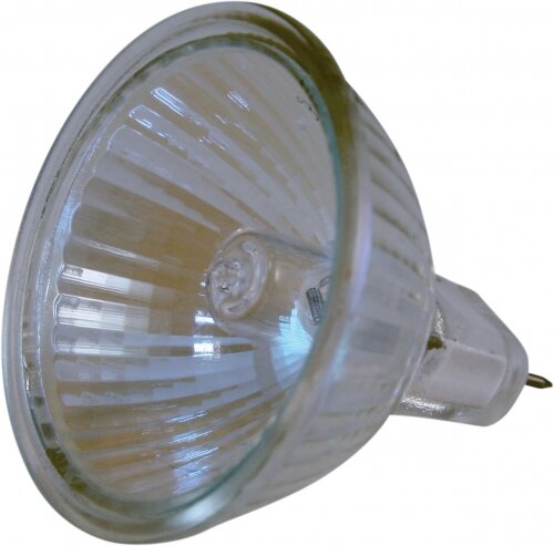 BULB 12V
