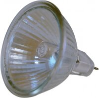 BULB 12V