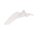REAR FENDER FOR YAMAHA